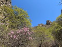 -京尊烤鸭店JINGZUN(春秀路店)