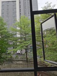 -KISS U 国际美学