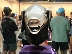 -广西壮族自治区博物馆