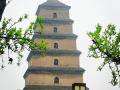 -唐猫庭院·千年陕菜(大唐不夜城店)