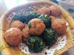-食家鸽园