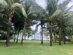 -三亚海棠湾喜来登度假酒店