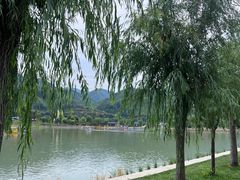 -后柳水乡