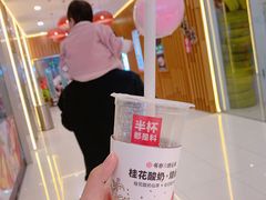 -椿记烧鹅(叠彩店)