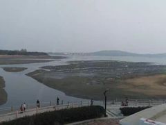 -琴岛之星摩天轮