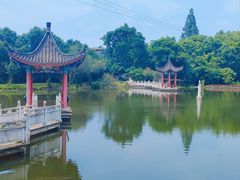 -青龙山国家森林公园