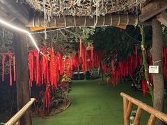 -呀路古热带植物园