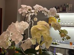 -女子饮酒社(上海店)