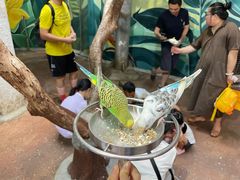 -正佳雨林生态植物园