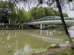 -九里河湿地公园