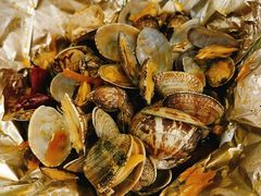 -花甲大咖(曼哈顿店)