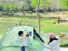 -王借岗森林公园