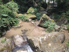 -龙岩森林水乡景区