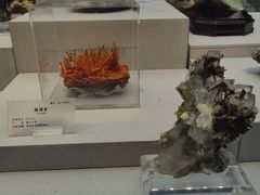 -湖南省地质博物馆