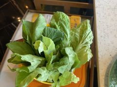 -润园四季椰子鸡火锅(海上世界店)