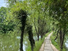 -西溪国家湿地公园