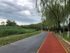 -大兴滨河森林公园