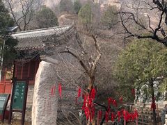 -北京凤凰岭