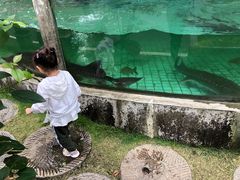 -天怡·鱼工厂(梅溪湖店)
