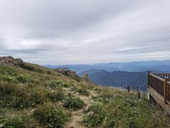 -白草畔自然风景区