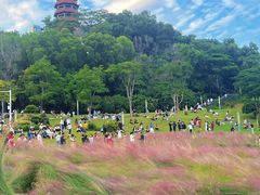 -红花山公园