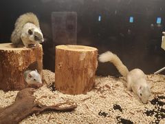 -太平洋海底世界