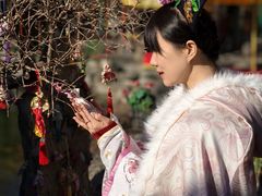 -白家大院·王府宫廷菜(苏州街店)