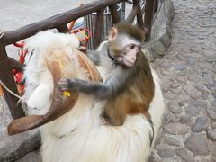 -深圳锦绣中华民俗村