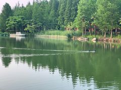 -上海怡沁园度假酒店