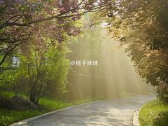 -桃花岛景观公园