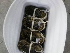 -阳澄湖大闸蟹·琼灵阁牌品牌连锁(吴中总店)