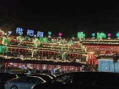 -枇杷园食为鲜火锅(南山店)