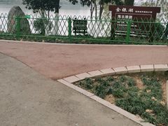 -金银湖国家城市湿地公园