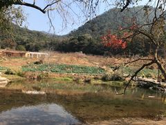 -广州市石门国家森林公园