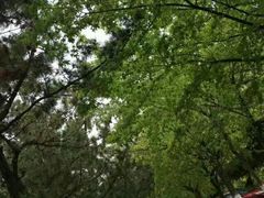 -山东师范大学(千佛山校区)