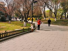 -丰台花园