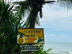 -三亚海棠湾万丽度假酒店