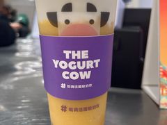 -一只酸奶牛(八一路店)