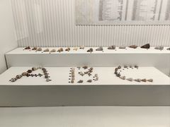 -青岛贝壳博物馆