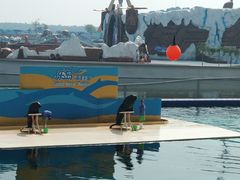 -秦皇岛乐岛海洋王国