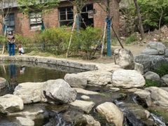 -白水寺森林公园