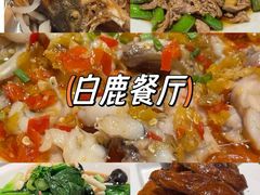 -新白鹿餐厅(银泰西湖文化广场店)