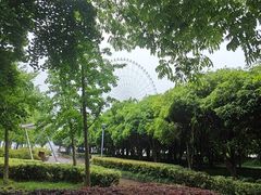 -蠡湖大桥公园