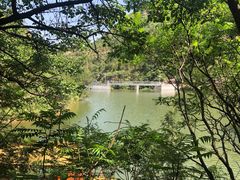 -仙居谷风景区