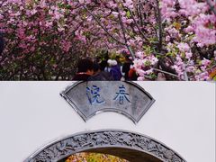 -莫愁湖公园
