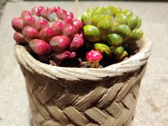-庐灶江南·江南菜·四合院Bistro(东直门雍和宫·原华侨宾馆店)
