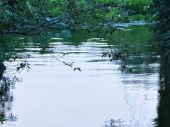 -济南大明湖景区