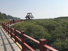 -北海金海湾红树林生态旅游区