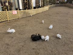 -嘉兴清池酒店温泉