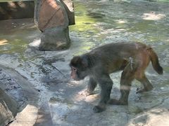 -荆州中山公园动物园